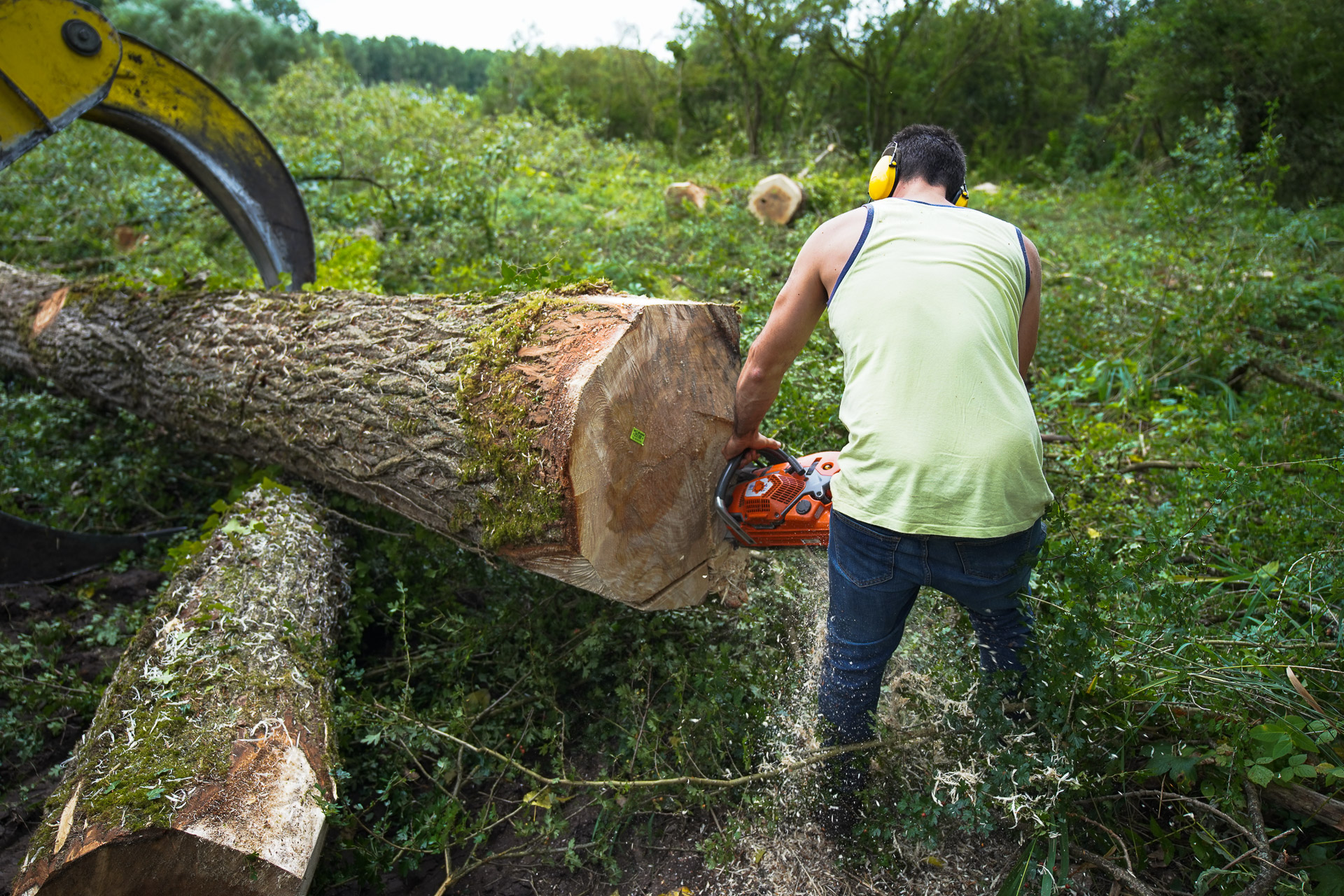 exploitant forestier à Arras