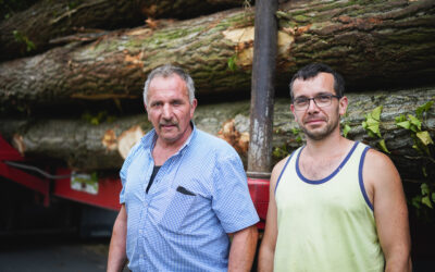 L’importance de la traçabilité dans la vente de planches en bois dur à Arras avec Delannoy Père et Fils